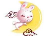 生肖兔都爱在朋友圈发布什么