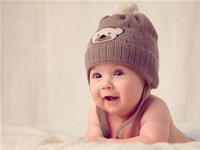 2018年狗宝宝几月出生好