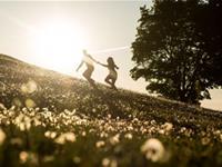 面临冲突，12星座会依然选择爱情吗