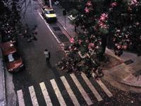 占卜你适合到国外生活吗