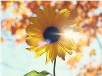 哪些名字中暗藏好运