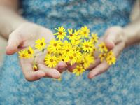 氧气占星2017年4月双鱼运势