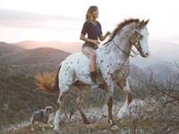 测你是一个会满足现状的人吗