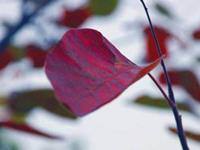 你尽管晒朋友圈，这些星座很关心算我输