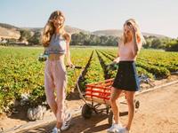 占卜你如何早日遇到好恋情