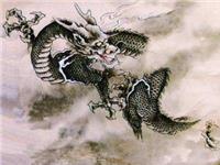 属龙的命运，属龙人的命运