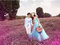 春天真的来了，12星座如何开始新恋情