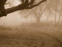 对生活毫无激情，没有追求的星座