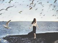 测你们感情逐渐变淡的原因是什么