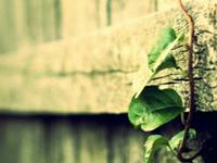 四月大展身手的星座