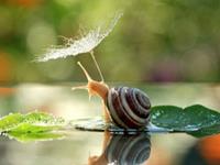 那些在艺术上颇有天赋的星座