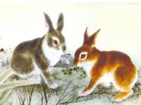 1975年属兔2017年本命佛