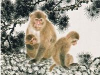 1980年属猴2017年本命佛