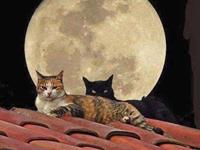 占卜你对他的爱有多深