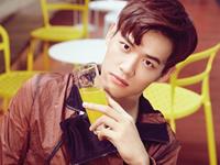 双子座做啥事情特拼命