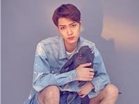 双鱼座做啥事情特拼命