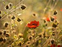 金牛座什么时候特大方