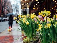 占卜你最近容易在哪方面做错选择