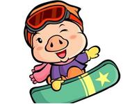 生肖猪会如何度过五一劳动节