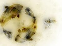 柒爸2017年5月双鱼座运势