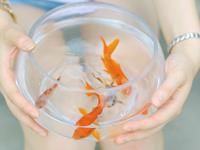 Alex双鱼座2017年5月运势