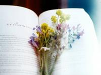 小乖麻根等卓玛2017年5月处女座运势