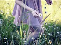 2017年最有闪婚运的生肖