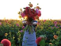 快来看看你是资深的的“剁手党”吗？