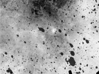 十二生肖男，哪些人最迷武侠剧