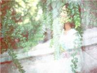 塔罗右手本周运势（5.27-6.2）