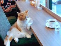 占卜你的财运为何迟迟旺不起来