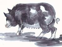 1983年属猪的人2018年运程