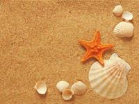 处女座永远不变的特质