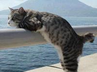 占卜你最近会有什么样的烦恼呢