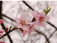 算你什么时候结婚最好