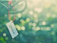 南烛2017年6月星座财富运势