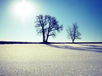 金牛座被哪个星座完克