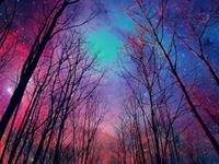 紫微斗数看择日生子要注意些什么