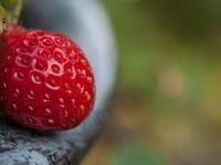 处女座表白被拒绝后