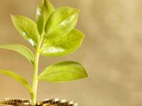 金牛座拿得起却放不下的是什么