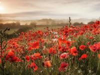 当你跟着巨蟹座一起去旅行