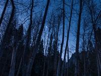 12星座狼人杀身份大揭密（下）