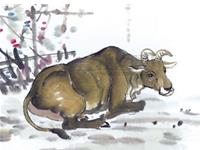 生肖牛最受不了恋人什么行为