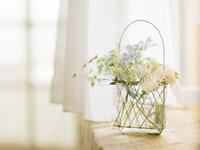 郑博士2017年8月十二生肖财气运势