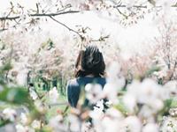 南烛2017年7月星座财富运势