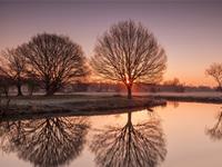 双子座的幽默程度如何