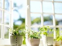 水瓶座的幽默程度如何