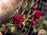 天秤座最不可告人的秘密