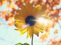 巨蟹座最让人鄙视的性格