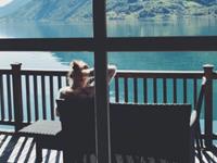 你的另一半只是你生命里的过客吗